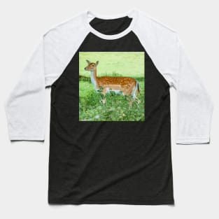 Fallow Deer on the Alert Baseball T-Shirt